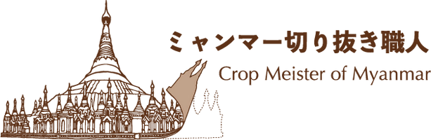 ノシクミ株式会社