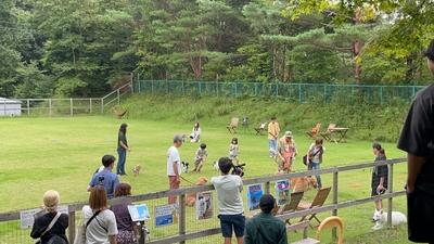 TVで紹介されました