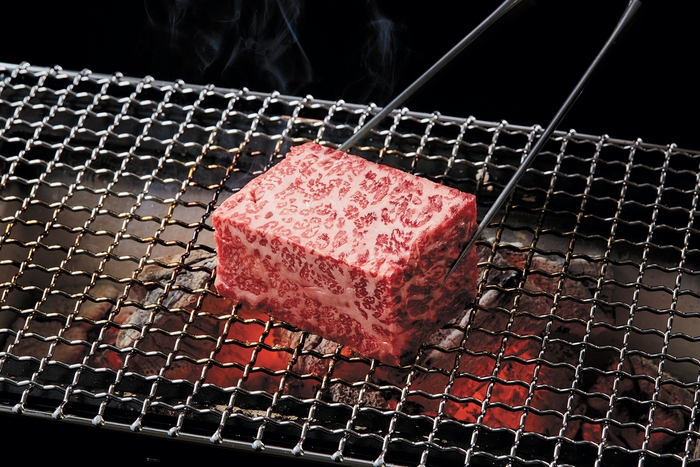 スペシャルディナーコース