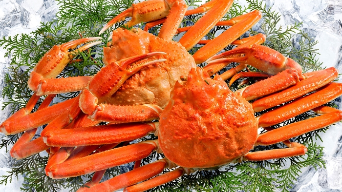 【期間限定】カニ食べ放題＋アルコール飲み放題（1泊2食付き）