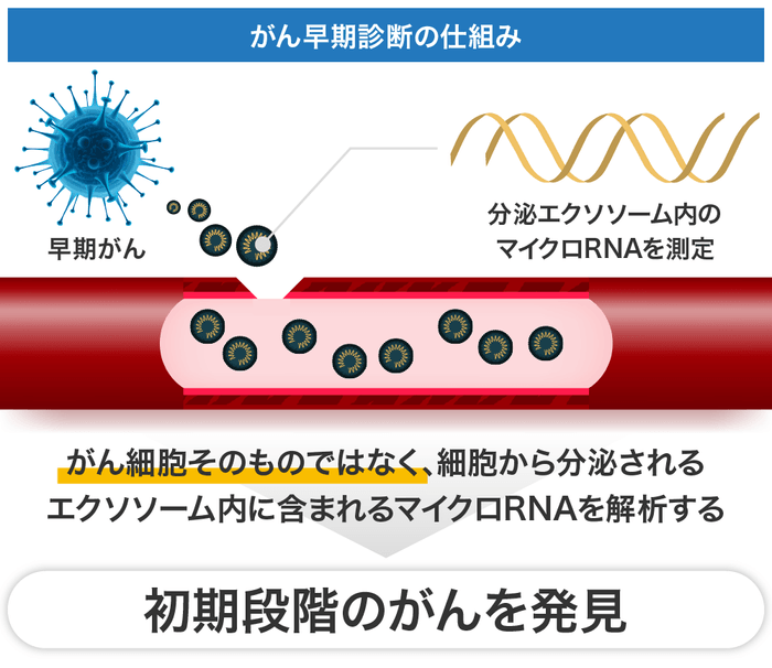 エクソソーム内のマイクロRNAを解析