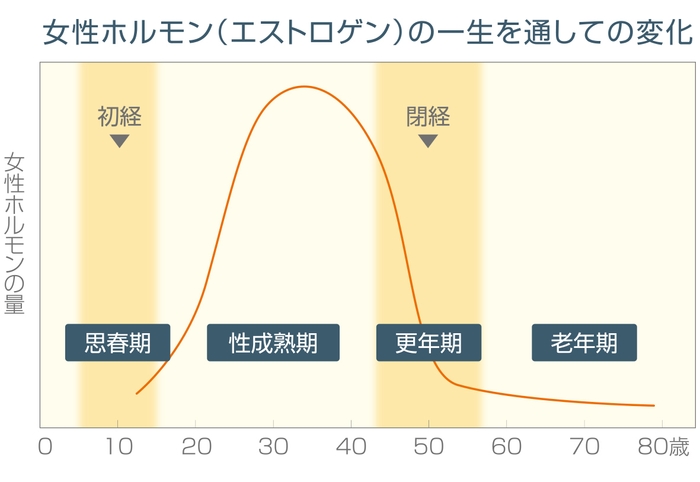 女性ホルモンの変化