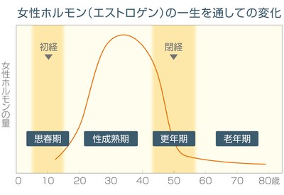 女性ホルモンの変化