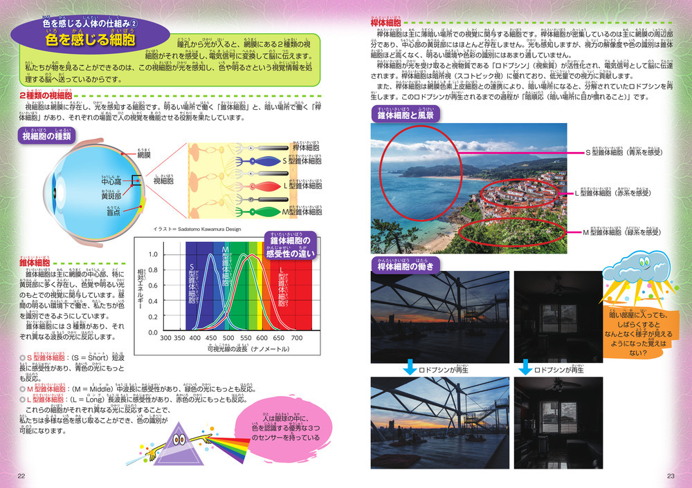 ずかん「色」(技術評論社) 色を感じる人体の仕組み