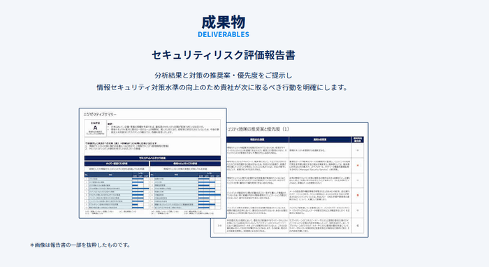 P-SS 情報セキュリティ評価サービス 成果物