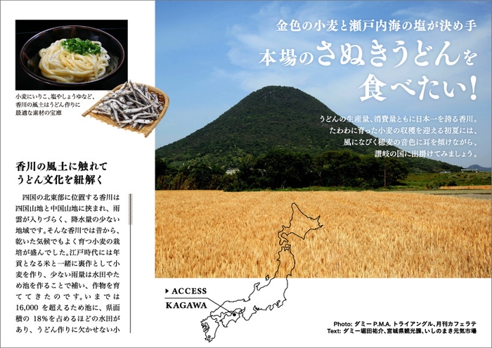タベサキ 2019年5月号 本場のさぬきうどん