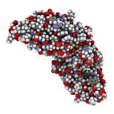 骨形成タンパク質(BMP)2の市場規模、2032年に1201百万米ドルに達する見込み