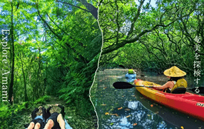 奄美大島での冒険ツアー +「AMAMI CRAFTASTE」夕暮れたんかん 価格:11,000円(税込)