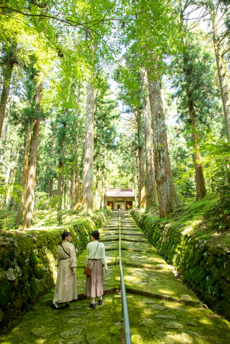 金勝山 金勝寺