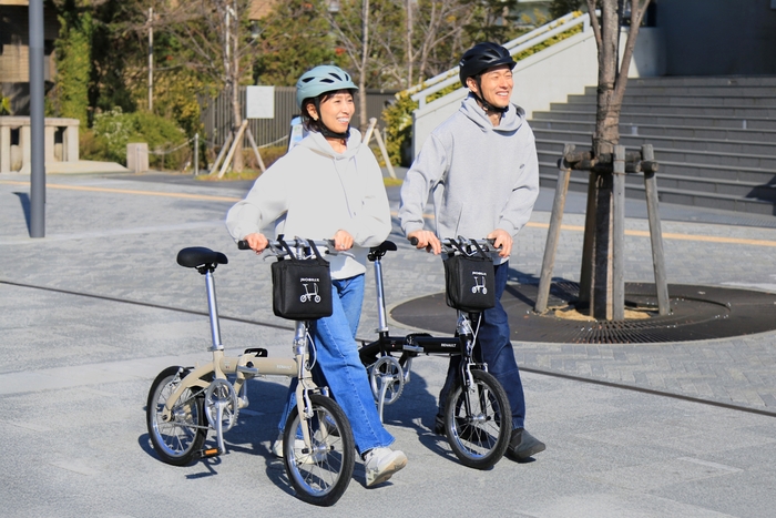 RENAULT LIGHT8 Ver.16_image1