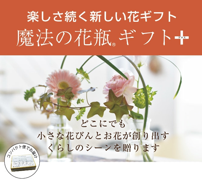 魔法の花瓶ギフトプラス