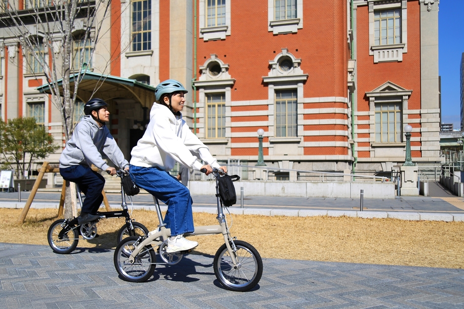 RENAULT LIGHT8 Ver.16_image3