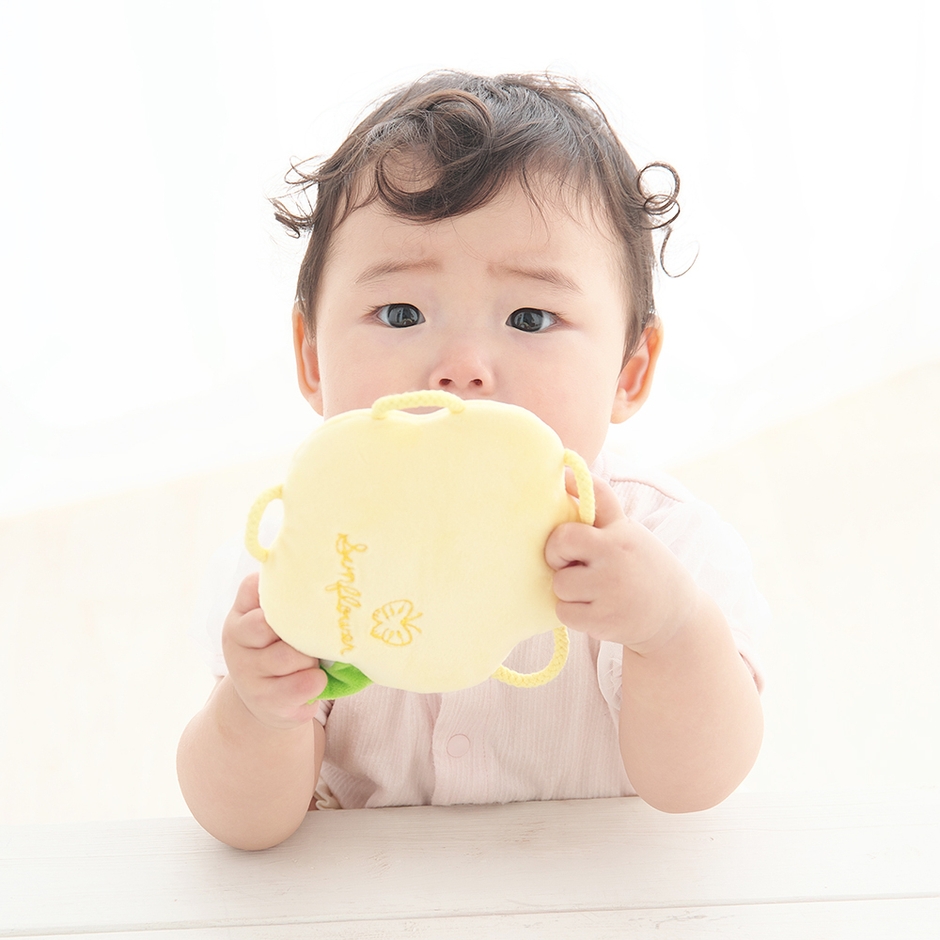 裏にはお花の名前と蝶の刺繍入り