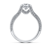 セレスティアル２