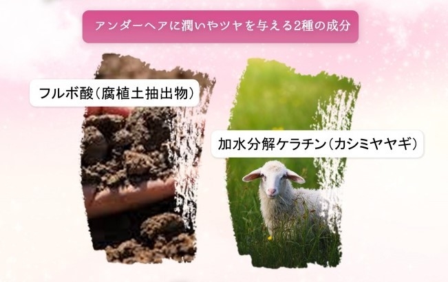 (4)