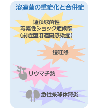 溶連菌の重症化と合併症