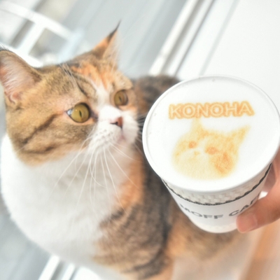 都内の猫カフェ初!オリジナルラテアート