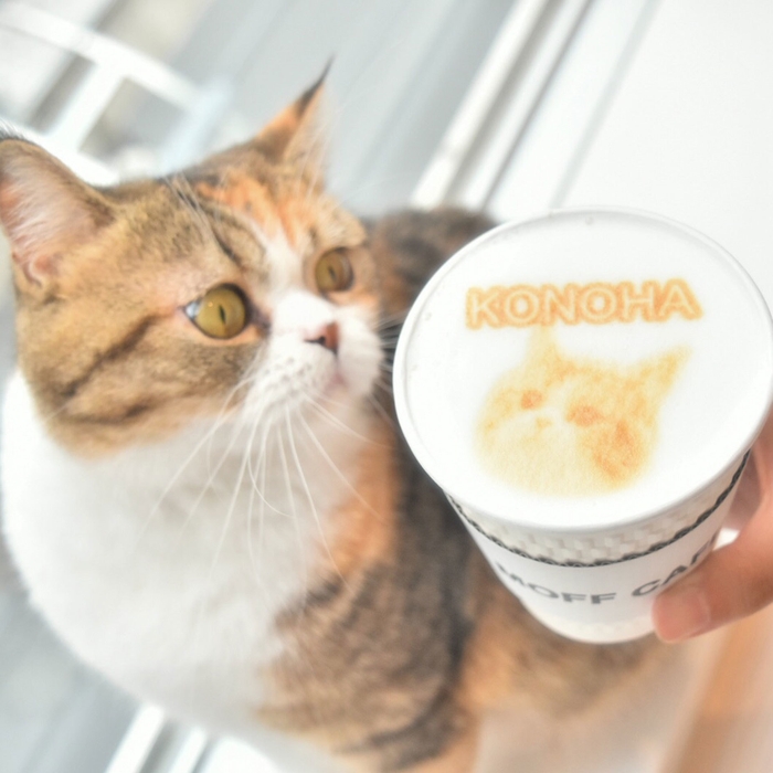 都内の猫カフェ初!オリジナルラテアート