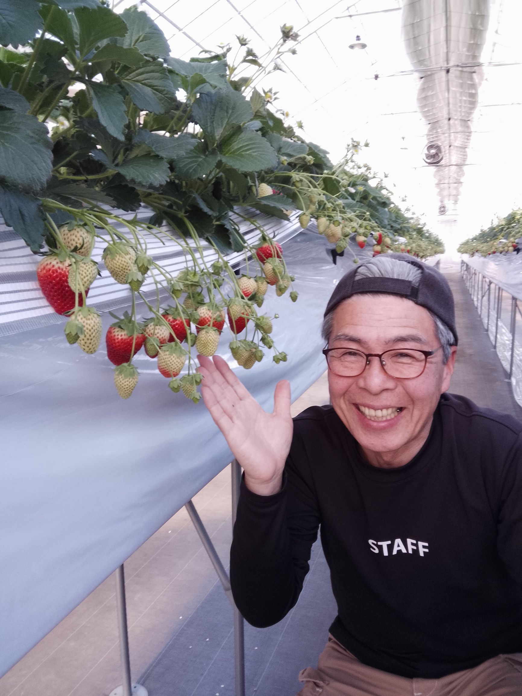 JRフルーツパーク仙台あらはま伊藤様