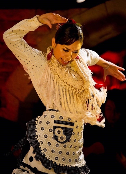 バイレ・踊り: 篠田三枝、篠田三枝フラメンコ舞踏団