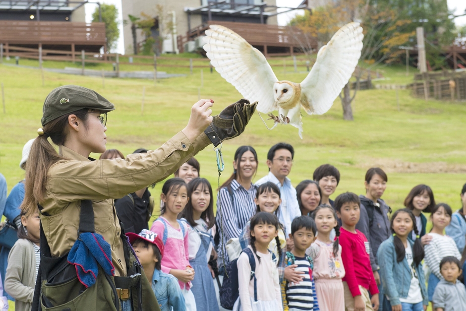 アニマル・フレンズ２