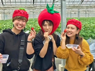 本宮山の麓でいちご狩りを運営するプロモンテファーム　 オープンから約1ヶ月で346名が来園　 ～新型コロナ対策をした上でいちご狩りを楽しむ～