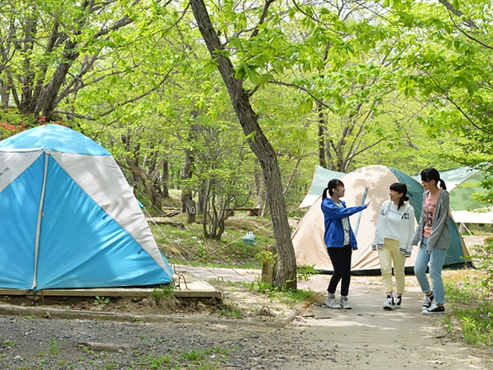 標高1&#44;200m夏でも涼しいキャンプ場(写真は那須)