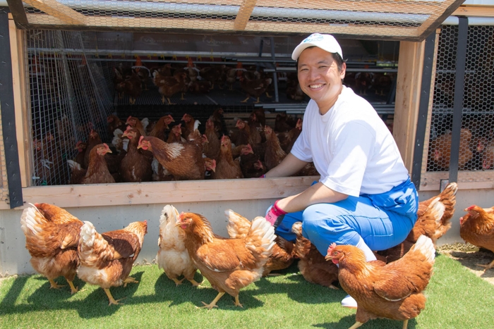 日中、鶏は自由に鶏舎の中と外を行き来することができ、自然に近い環境で育てています。