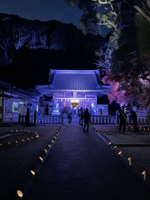 松平東照宮