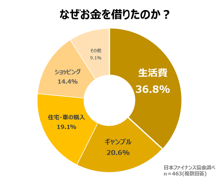 なぜお金を借りたのか?