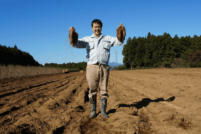 安曇野の自社農園でさつまいもを栽培