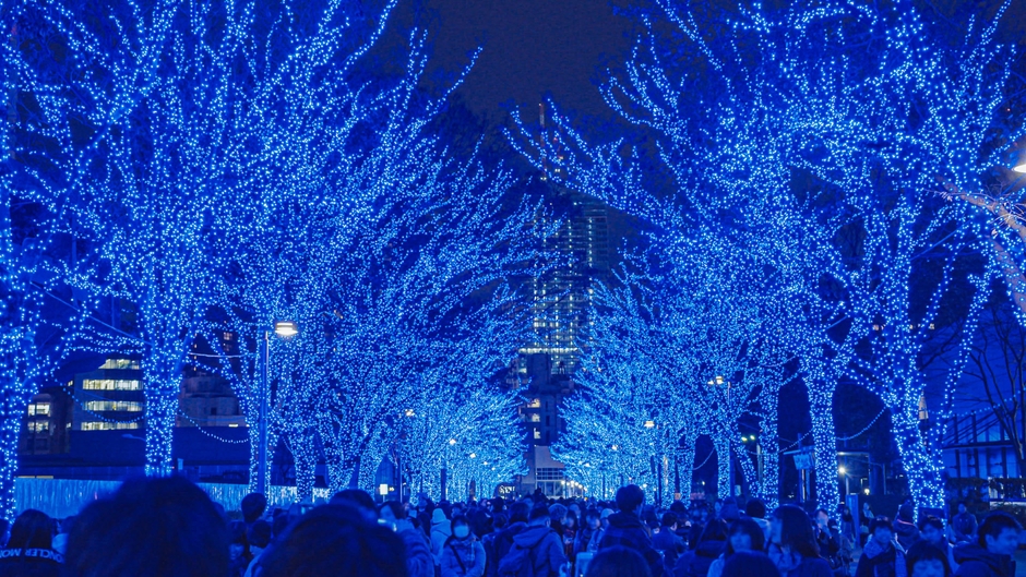 場面写真2