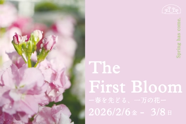 早春の草花展を中心とした、植物園の一足早い春を楽しむ 『The First Bloom ―春を先どる1万の花―』を開催　 2月6日(金)～3月8日(日)