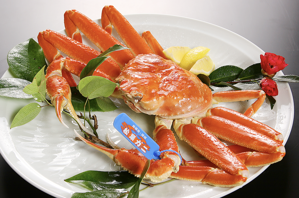 ブランドの証・青タグが付いた“隠岐松葉ガニ”