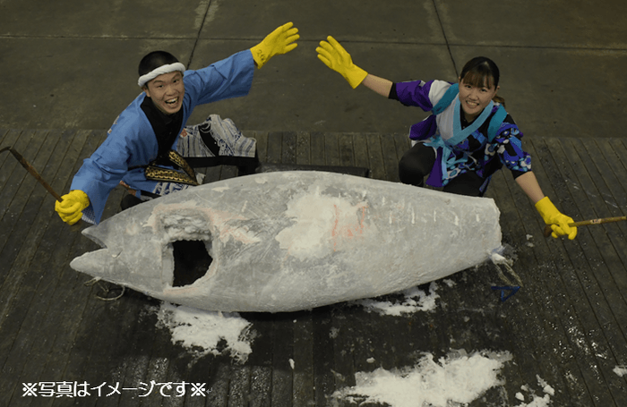 豪華！本マグロ一尾まるごと販売