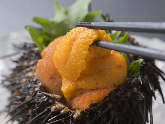 休暇村陸中宮古 夏の味覚 うに