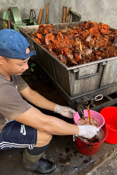 染料を抽出