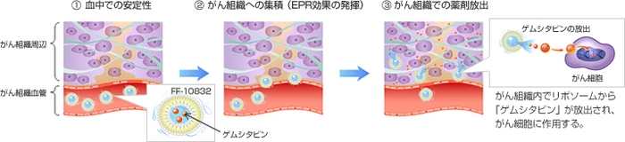 「FF-10832」：がん組織での薬剤放出までのイメージ図