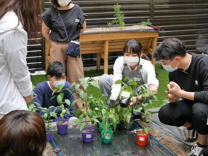 自分たちの手で食材をつくるところから学びます