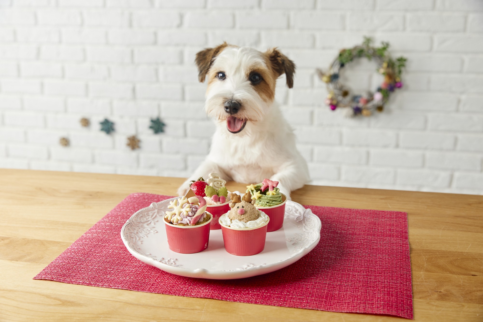 【うちの子とご馳走を食べる年末年始】犬猫専用クリスマスケーキや特製豪華おせち予約開始