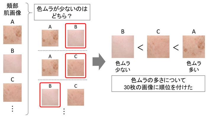 図5　今回の目視評価について