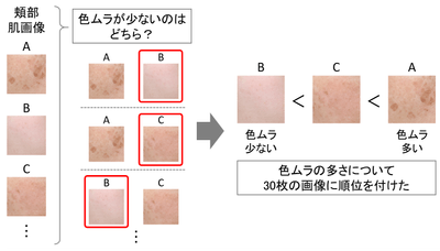 図5　今回の目視評価について