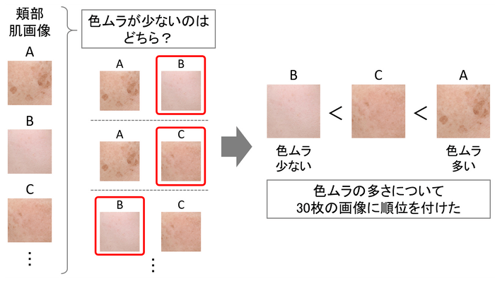 図5　今回の目視評価について