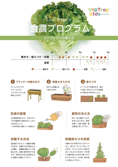 食農マニュアル リーフレタス イメージ
