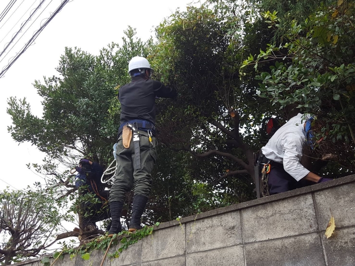 お庭のカットモデル７