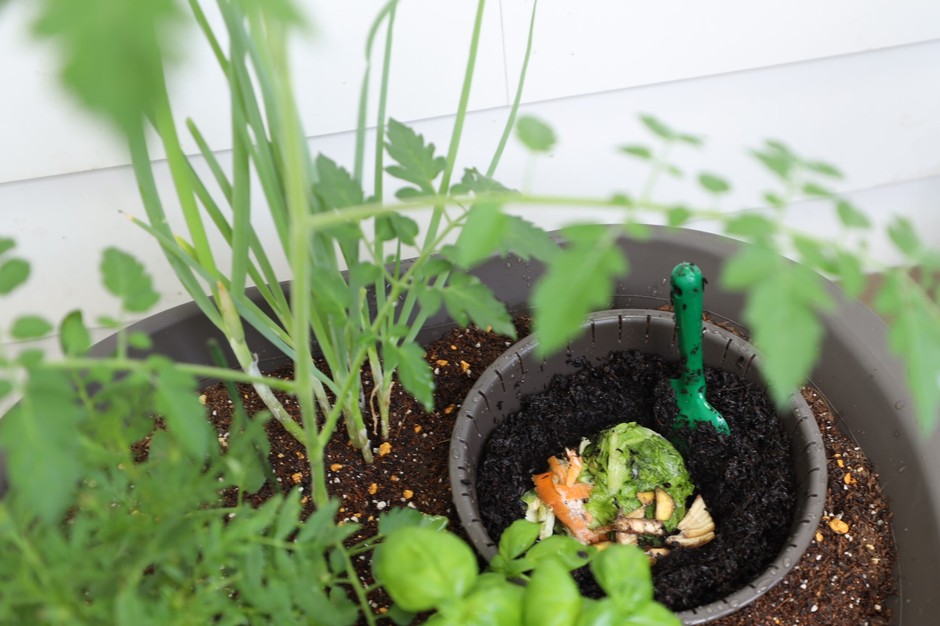 野菜くずなど食べ物の残渣をいれたところ