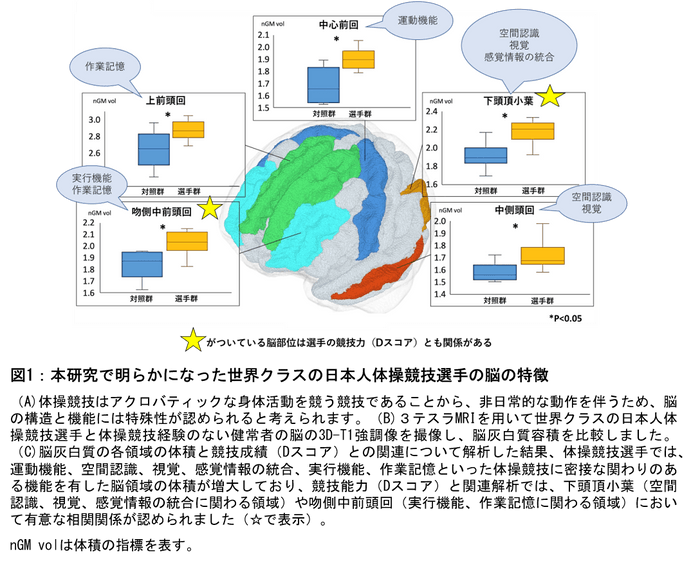 図1-C