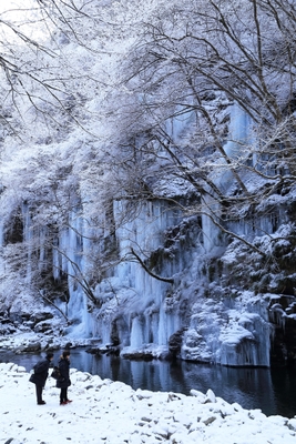 三十槌の氷柱