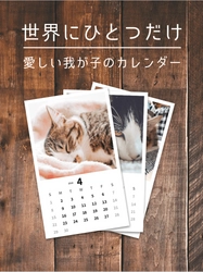 猫好き専用SNSアプリ「ねこすた」がオリジナルカレンダー 作成サービスを開始！写真を選ぶだけの簡単操作