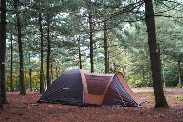 フライを被せれば、全長5m越えの広々空間が完成!